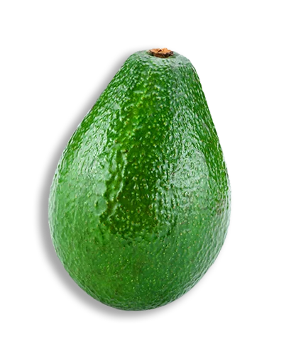 Engin Tarım Avocado