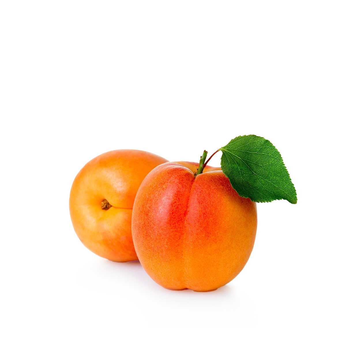 Engin Tarım - Apricot