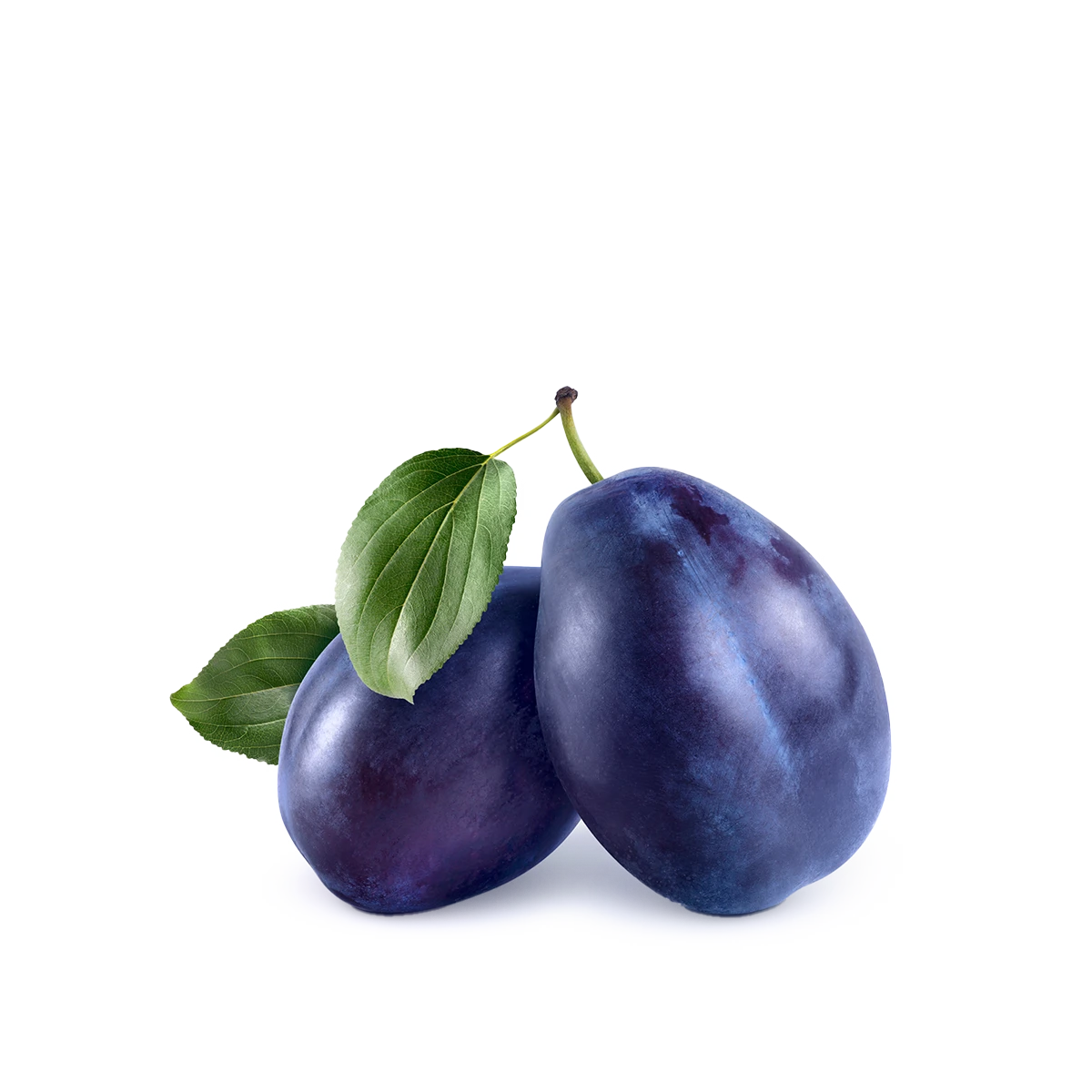 Engin Tarım - Plum