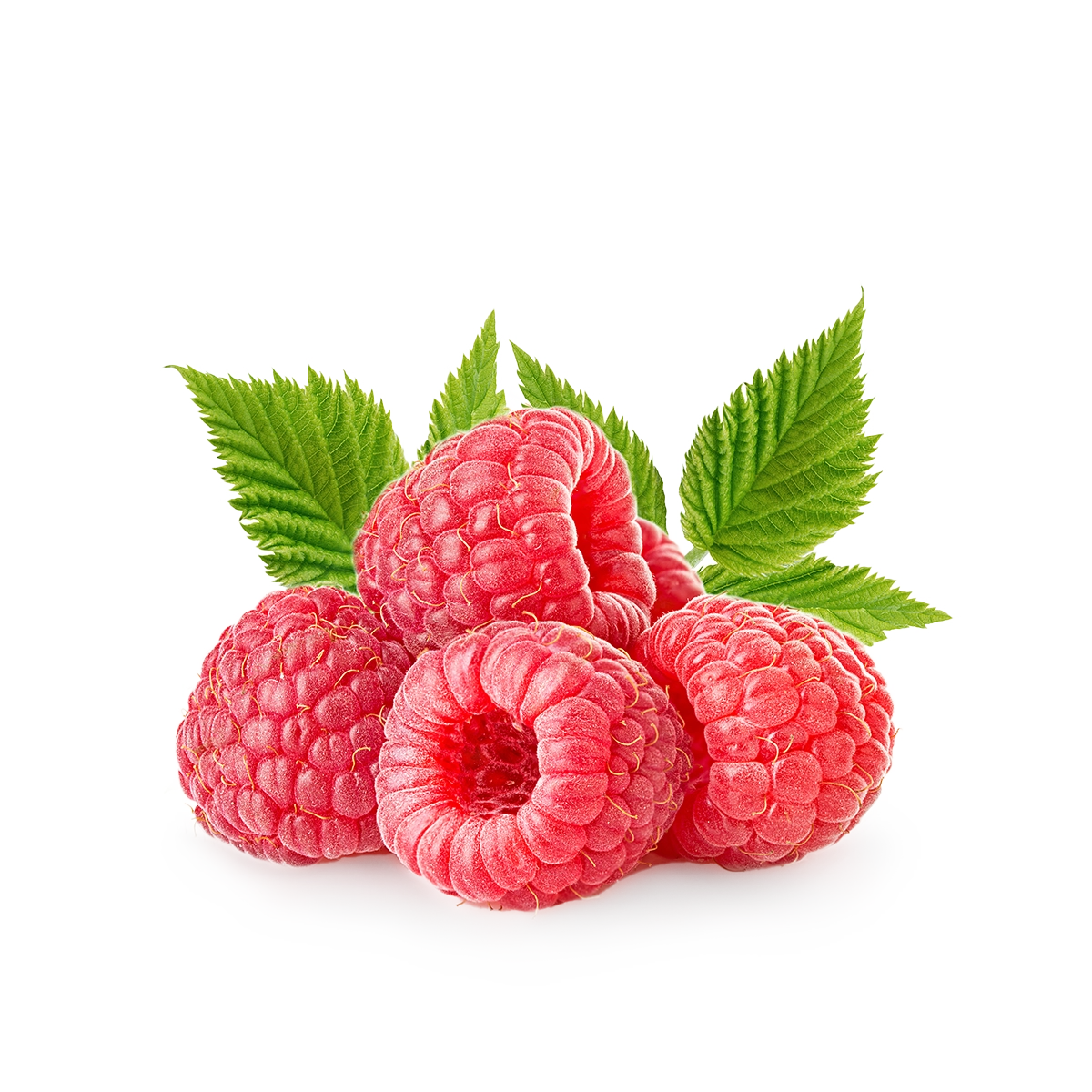 Engin Tarım - Raspberry