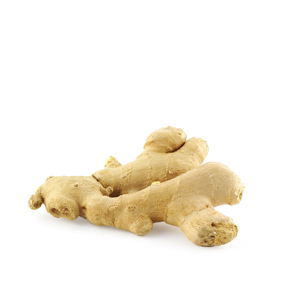 Engin Tarım - Ginger