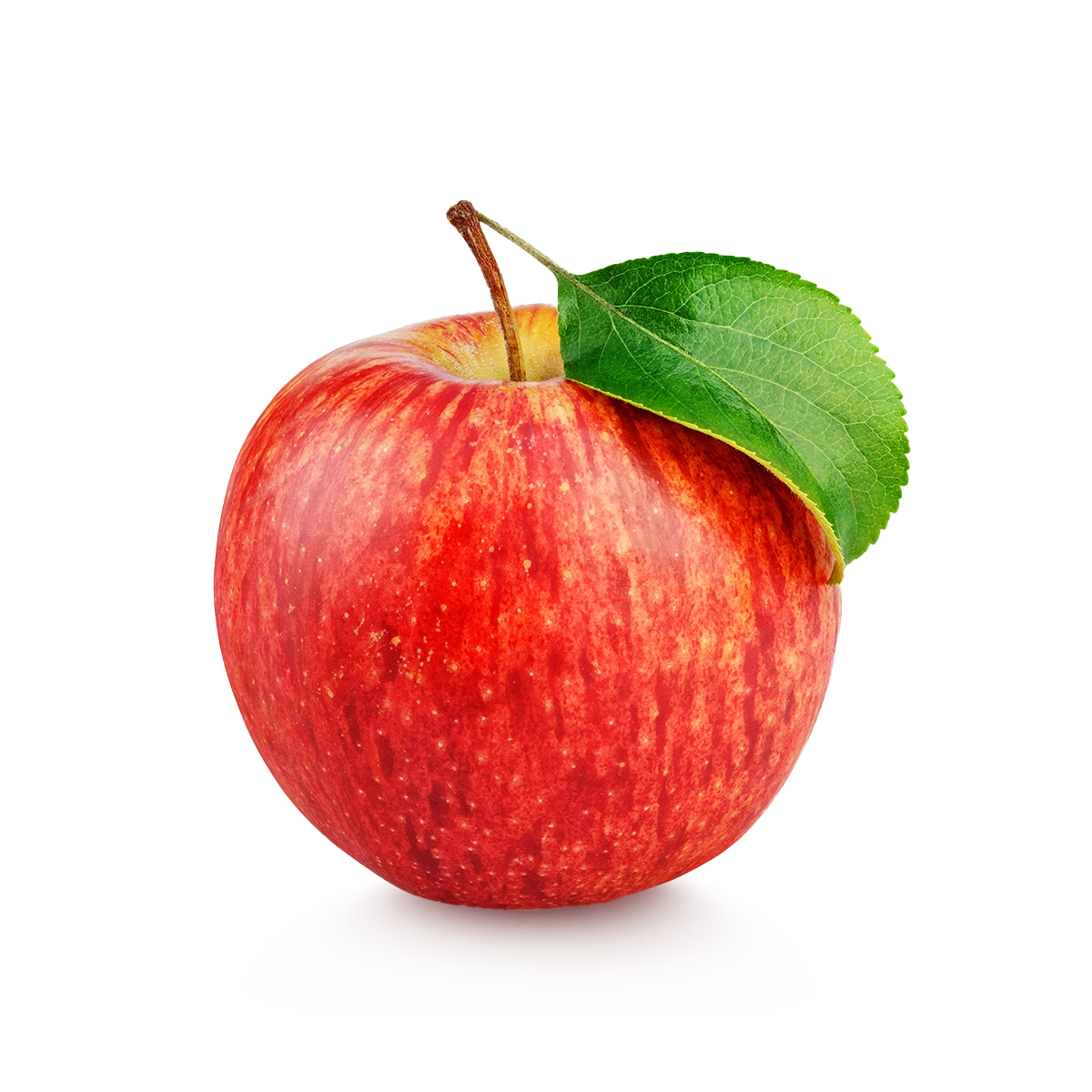 Gala Apple